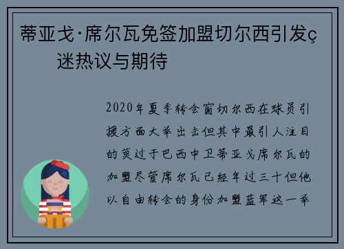 蒂亚戈·席尔瓦免签加盟切尔西引发球迷热议与期待