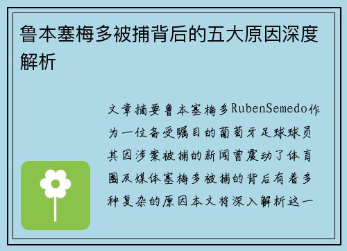 鲁本塞梅多被捕背后的五大原因深度解析